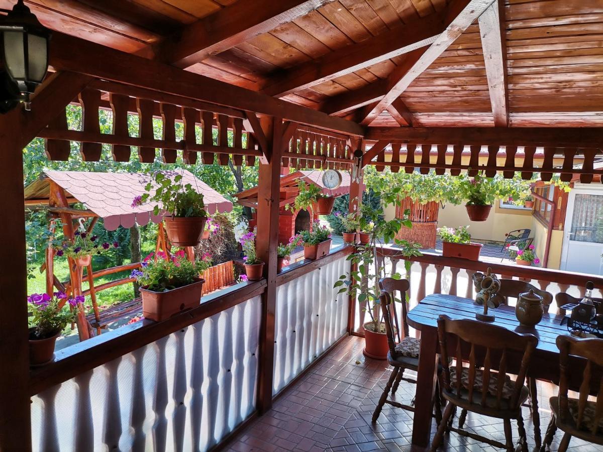 Отель Casa Dana Хацег Экстерьер фото