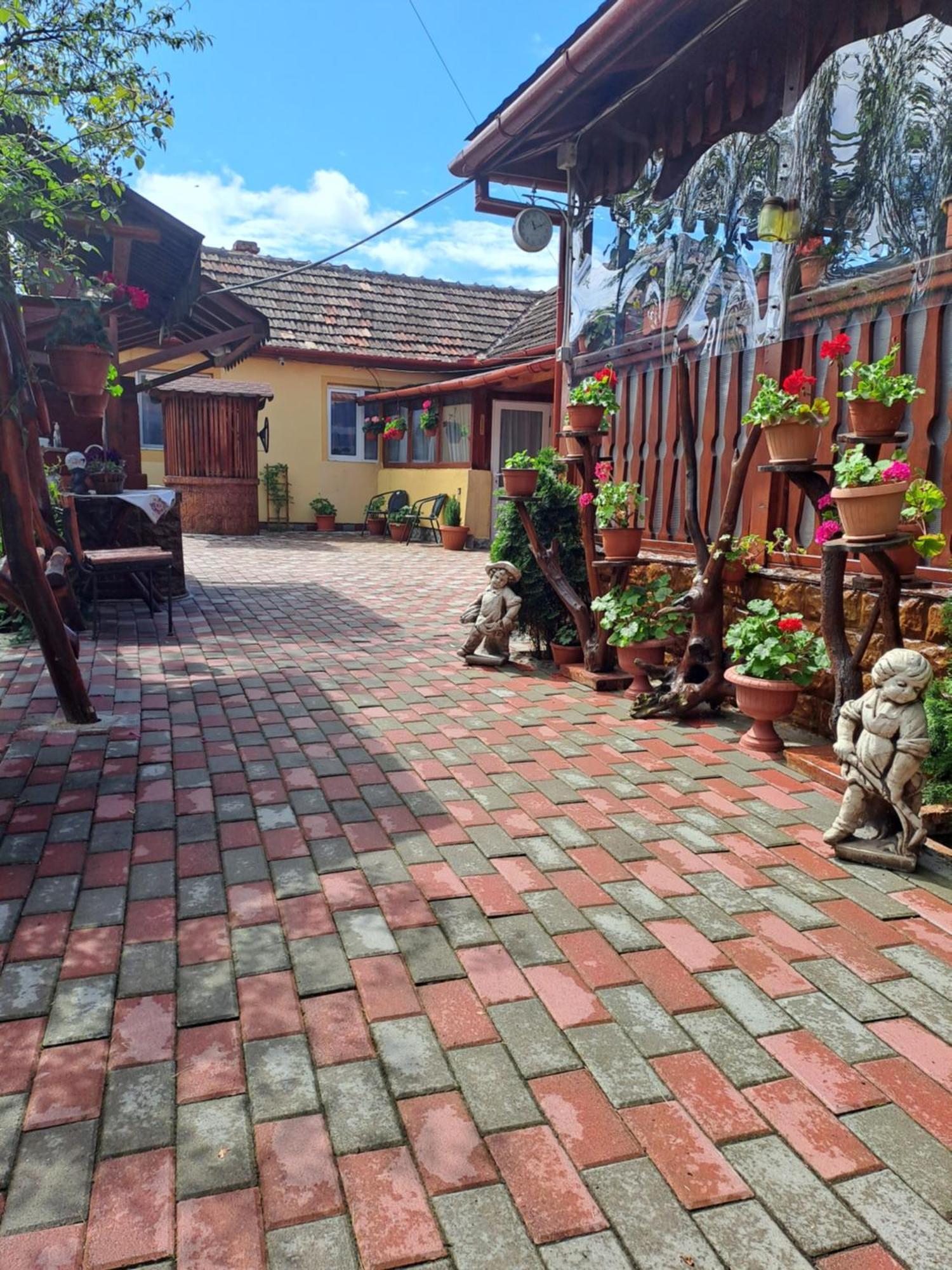 Отель Casa Dana Хацег Экстерьер фото